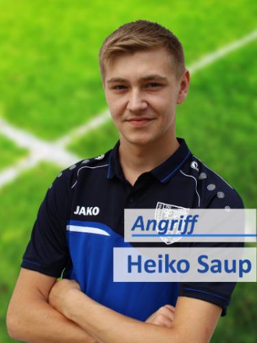 Heiko Saup