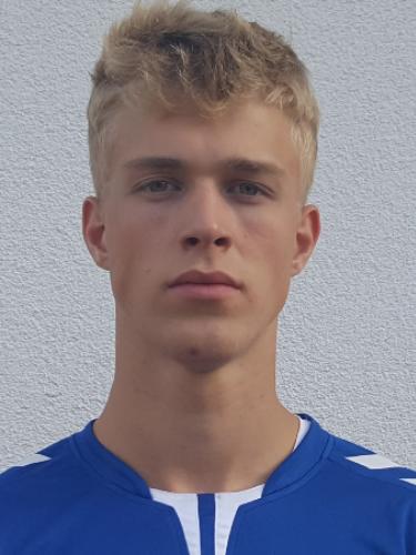 Josua Levin Dannemann